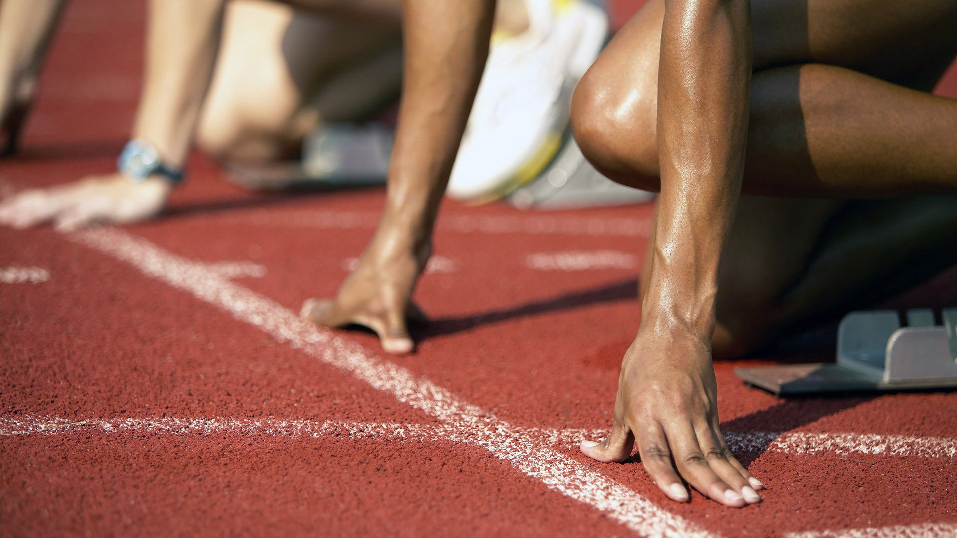 体育新闻中心上线运动员数据服务系统，体育运动员新闻素材